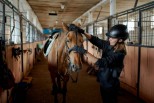 Helma na kon je povinnou vbavou kadho jezdce - fotografie 3
