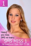 Miss Příbramska 2008 - SMS hlasování Miss Sympatie