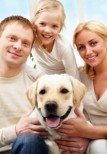 Nejvhodnější společenská plemena psů do rodiny