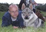 Pavel Hanuka (wolfdog) - 